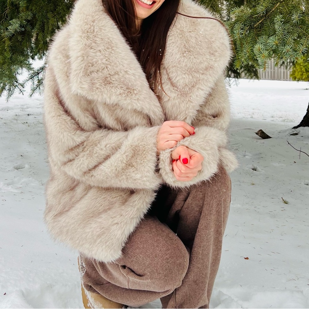 Aritzia Banter coat